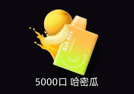【哩亞一次性電子煙 拋棄式5000口】i